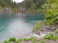 IMG 5291