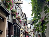Het bekendse straatje in Rüdesheim is de Drosselgasse.