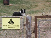 Gebied bewaakt met honden!