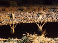Etosha