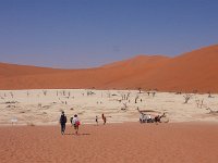 Dead Vlei
