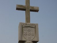  MG 8319