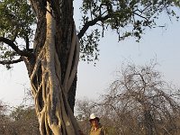 IMG 4993