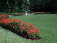 Botanische tuin van Kandy