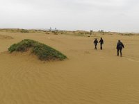 IMG 4150