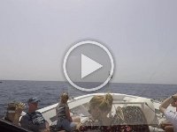 Boot naar Amalfi
